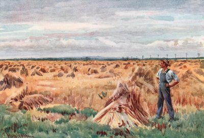 Entlang der Weizenfelder von Manitoba von Harold Copping