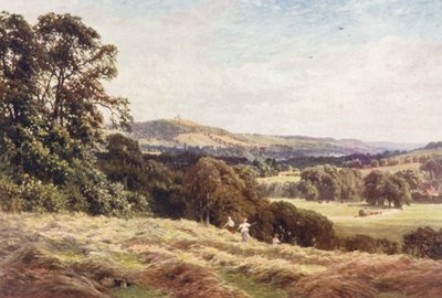 Ein Heufeld, Wonersh von Harold Sutton Palmer