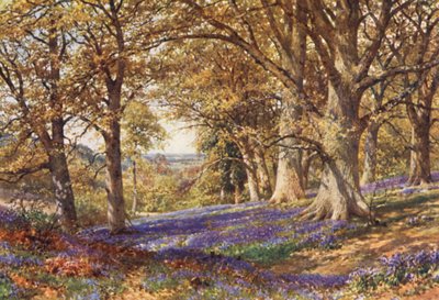 Ein Hang von Glockenblumen, Hascombe von Harold Sutton Palmer
