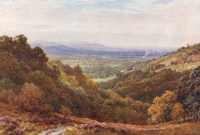 Eine weite Strecke, vom Galgen, Hindhead von Harold Sutton Palmer