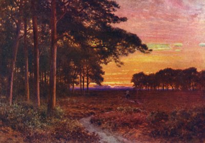 Abend auf den Mooren, Hindhead von Harold Sutton Palmer