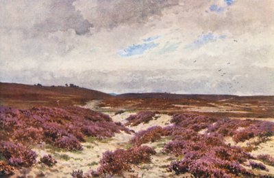 Frensham Common von Harold Sutton Palmer