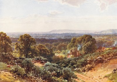 Sandhügel, Blick auf Blackdown von Harold Sutton Palmer