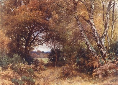 Der Rand eines Waldes, Royal Common von Harold Sutton Palmer