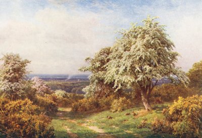 Der Stolz des Frühlings, Newlands Corner von Harold Sutton Palmer