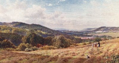 Das Tal von Dorking von Harold Sutton Palmer