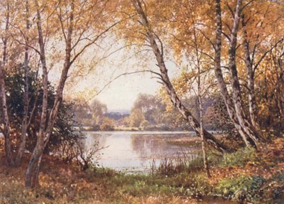 Am Rand des Teichs, Royal Common von Harold Sutton Palmer
