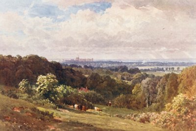 Schloss Windsor von Cooper