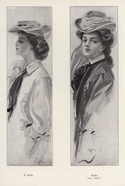 Die Figur Nedra aus dem Roman Nedra von George Barr McCutcheon von Harrison Fisher