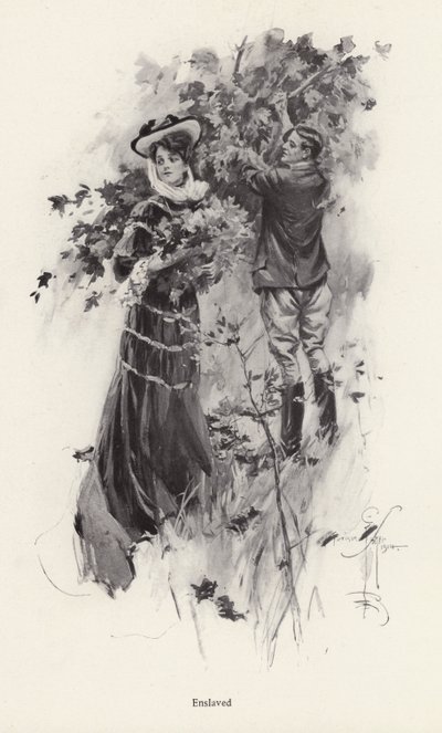 Frau pflückt Blumen mit einem männlichen Bewunderer von Harrison Fisher