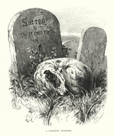 Ein treuer Trauernder von Harrison William Weir