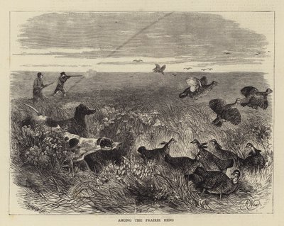 Unter den Präriehühnern von Harrison William Weir