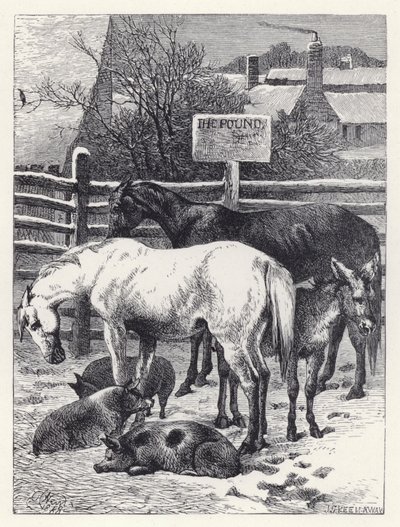 Tiere im Pferch von Harrison William Weir
