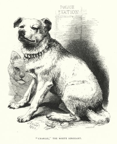 "Charlie," der weiße Sergeant von Harrison William Weir