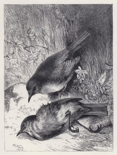 Tod von Robins Gefährtin (Stich) von Harrison William Weir