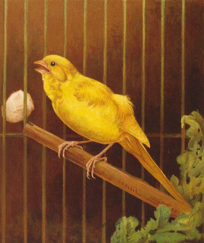 Dickie Bird von Harrison William Weir