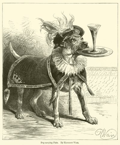 Hund trägt Teller von Harrison William Weir