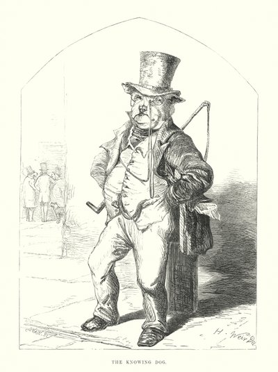 Lustige Hunde: Der wissende Hund von Harrison William Weir