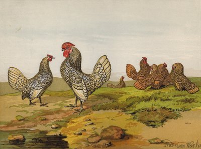 Gold- und Silbergesäumte Bantams (Chromolithografie) von Harrison William Weir