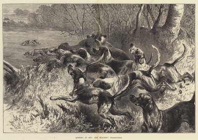 Gut getroffen, die Mid-Kent Staghounds von Harrison William Weir