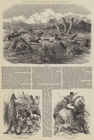 Känguru-Jagd in Australien von Harrison William Weir