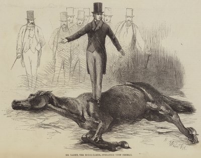 Mr. Rarey, der Pferdebändiger, arbeitet an Cruiser von Harrison William Weir