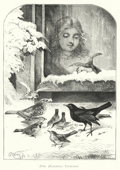 Unsere morgendlichen Besucher von Harrison William Weir