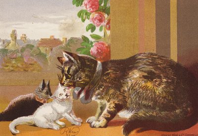 Puss und ihre Kätzchen (Farblithografie) von Harrison William Weir