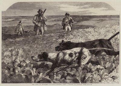 Der Erste September, Rebhuhnjagd (Gravur) von Harrison William Weir