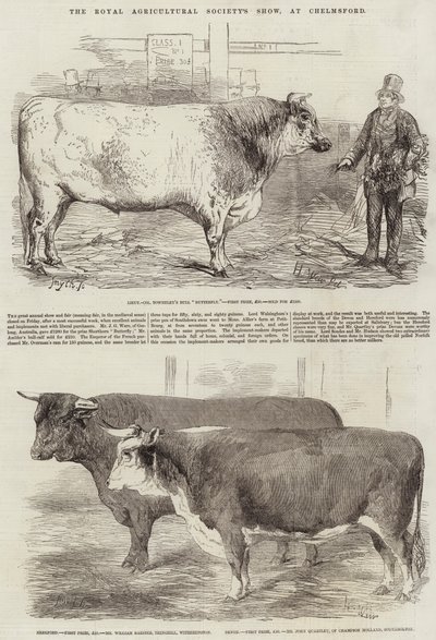 Die Ausstellung der Royal Agricultural Society in Chelmsford von Harrison William Weir
