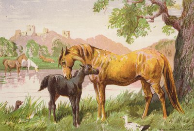 Die Ruine des Schlosses von Harrison William Weir