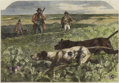 Der erste September von Harrison William Weir