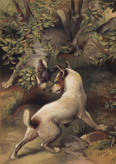 Zwei Hunde versuchen, einen Wasserpool zu erreichen, um zu trinken von Harrison William Weir