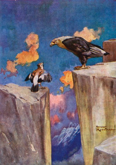 Der Eichelhäher und die Nachtigall von Harry Rountree