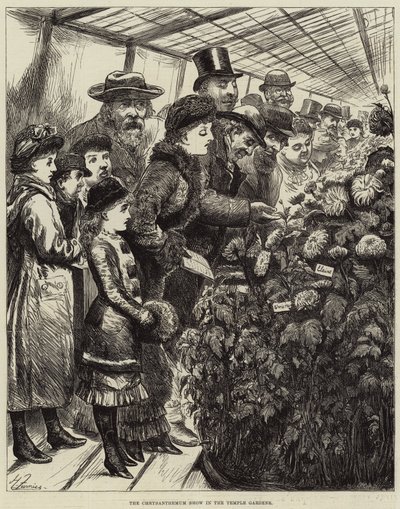 Die Chrysanthemen-Ausstellung in den Temple Gardens von Harry Furniss