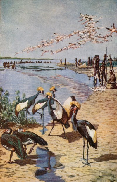 Die nördlichen Ufer des Tschadsees, gesehen von Denham im Jahr 1822 von Harry Hamilton Johnston