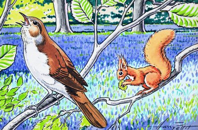 Kleines rotes Eichhörnchen von Harry M. Pettit