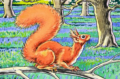 Kleines rotes Eichhörnchen von Harry M. Pettit