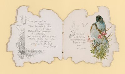 Vögel von Hector Giacomelli