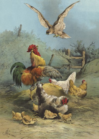 Falke im Hühnerhof von Hector Giacomelli