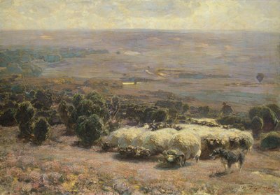 Eine Schafherde in der Lüneburger Heide, 1902 von Heinrich Johann von Zugel