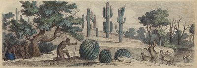 Colorado von Heinrich Leutemann