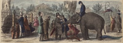 In einem zoologischen Garten in Deutschland von Heinrich Leutemann
