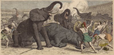 Tötung gefangener Elefanten in einer römischen Arena von Heinrich Leutemann