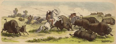 Indianer zu Pferd jagen Büffel (kolorierte Gravur) von Heinrich Leutemann