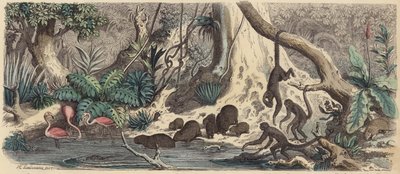Flussufer in Guayana von Heinrich Leutemann