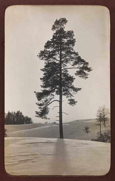 Erster Weltkrieg: die Ukraine in den Jahren 1914-1916 während der Invasion der deutschen Armee. Landschaft mit Schnee (s/w Foto) von Heldenfriedhof Dsessentniki (attr. to)