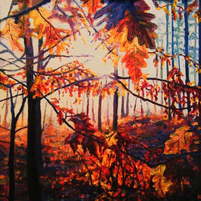 Kupferwälder von Helen White