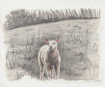 Lamby von Helen White