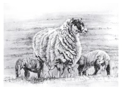 Stolz von Helen White